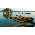 Vận Chuyển từ Đầm Dơi