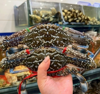 Cách lựa ghẹ ngon, cách sơ chế, cách bảo quản và khử tanh ghẹ đúng chuẩn