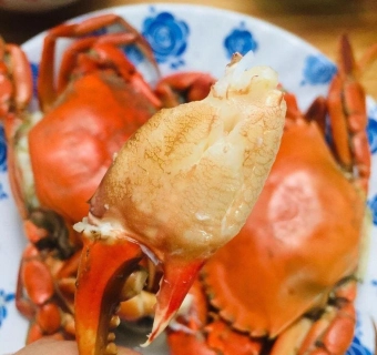 Chi tiết về thủ tục xuất khẩu cua sống, cua Cà Mau 