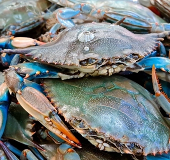 Vận Tải Đường Bộ